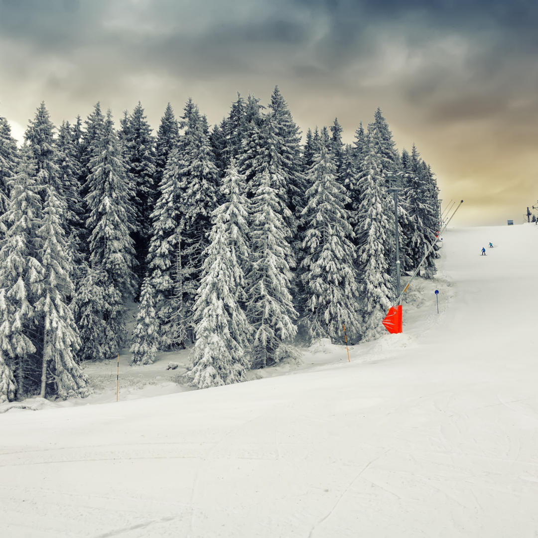 Kopaonik